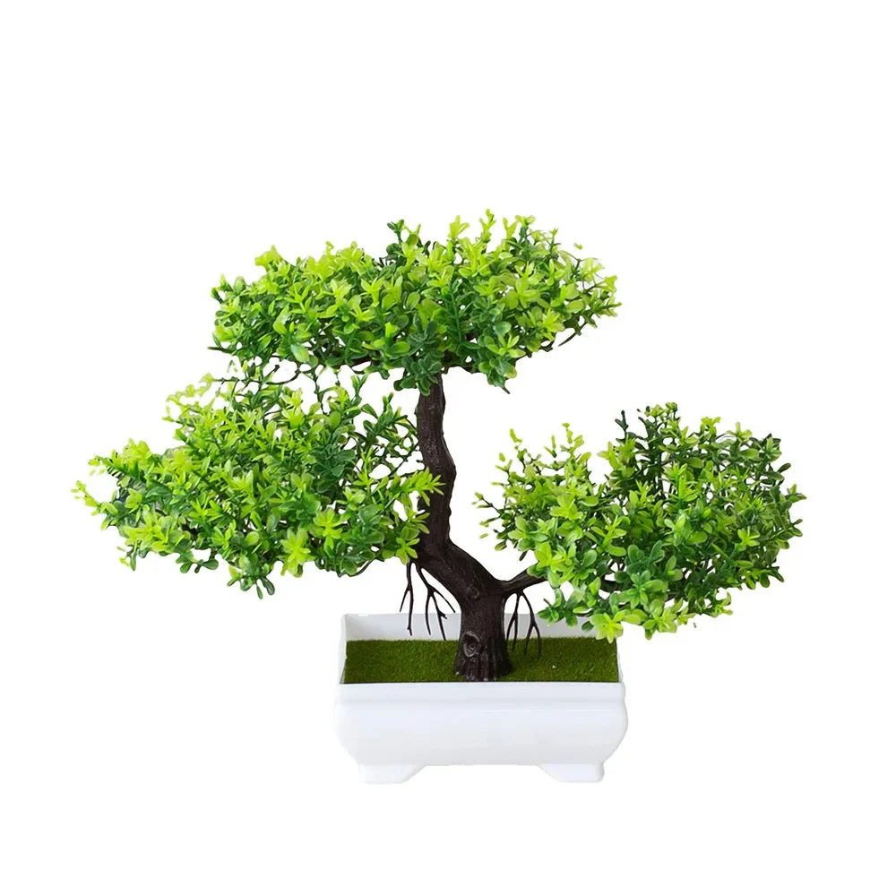 Potted Bonsai Small Tree